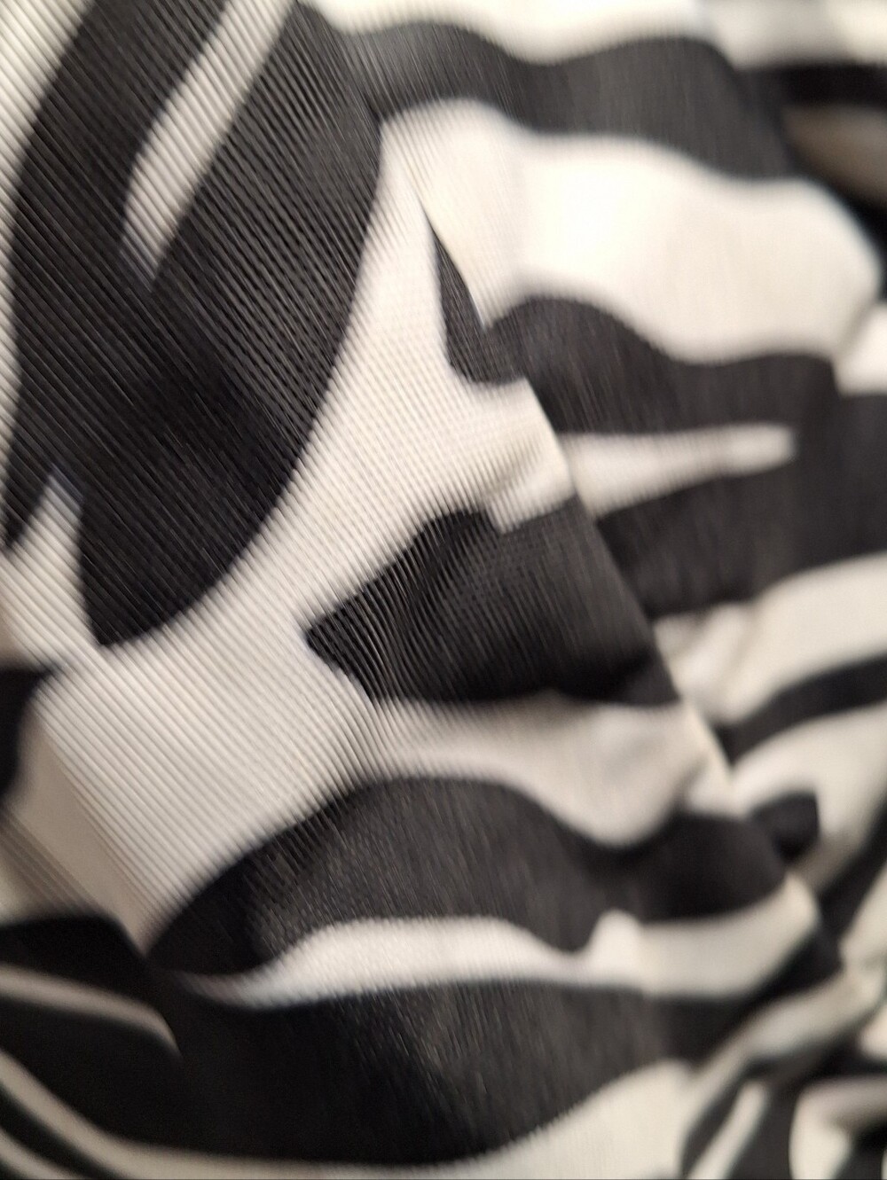 Jansport Backpack, Zebra Stripes, Black & White w/Blue Accents - Picture 8 of 16